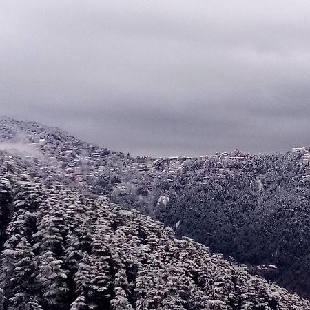 Shimla Regency Otel Dış mekan fotoğraf