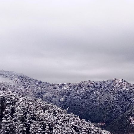 Shimla Regency Otel Dış mekan fotoğraf
