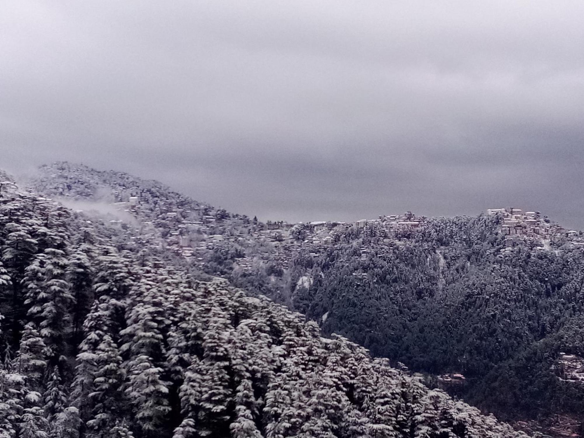 Shimla Regency Otel Dış mekan fotoğraf